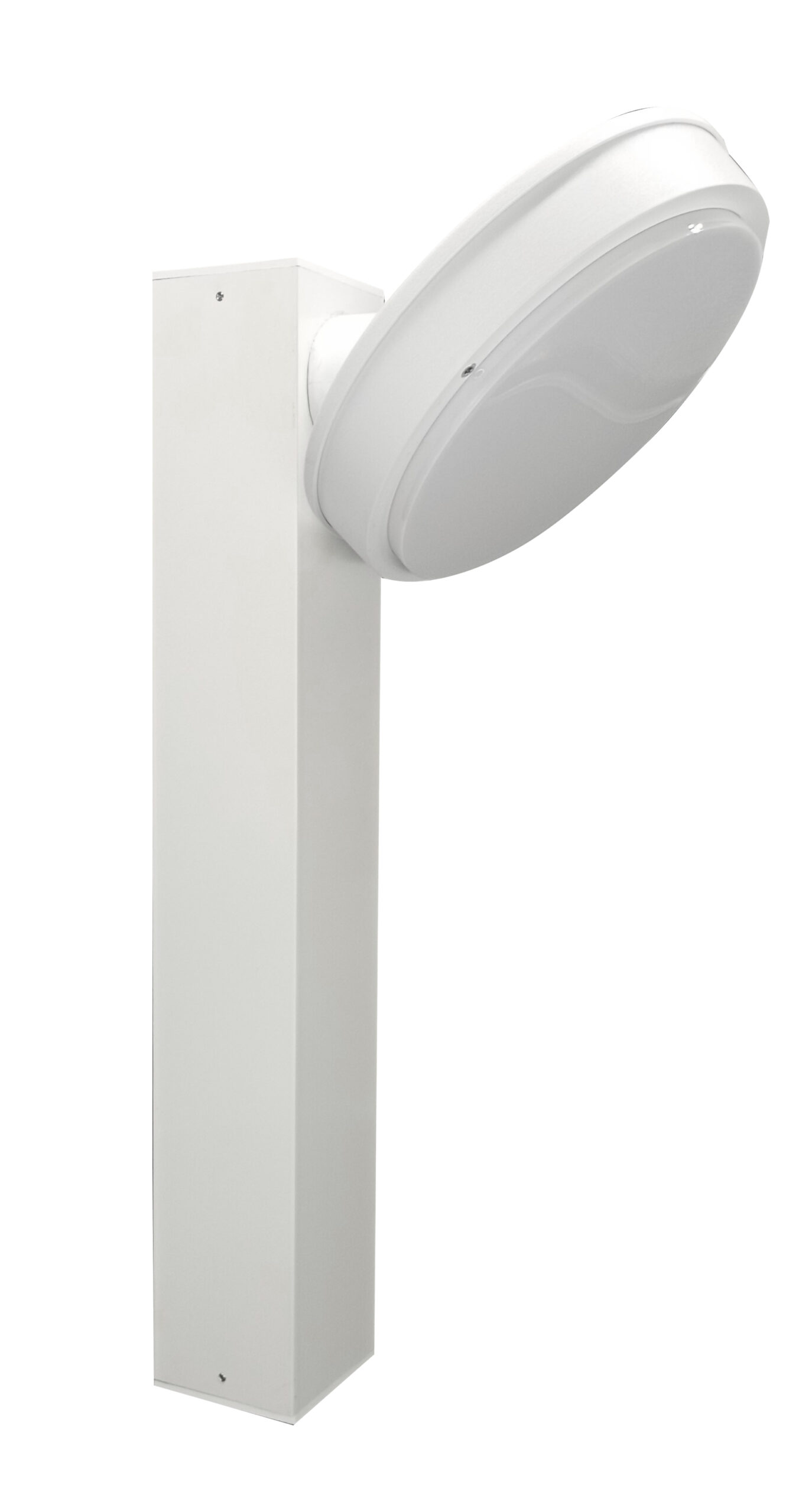 FLAT-T20- EVO-B SU PALO