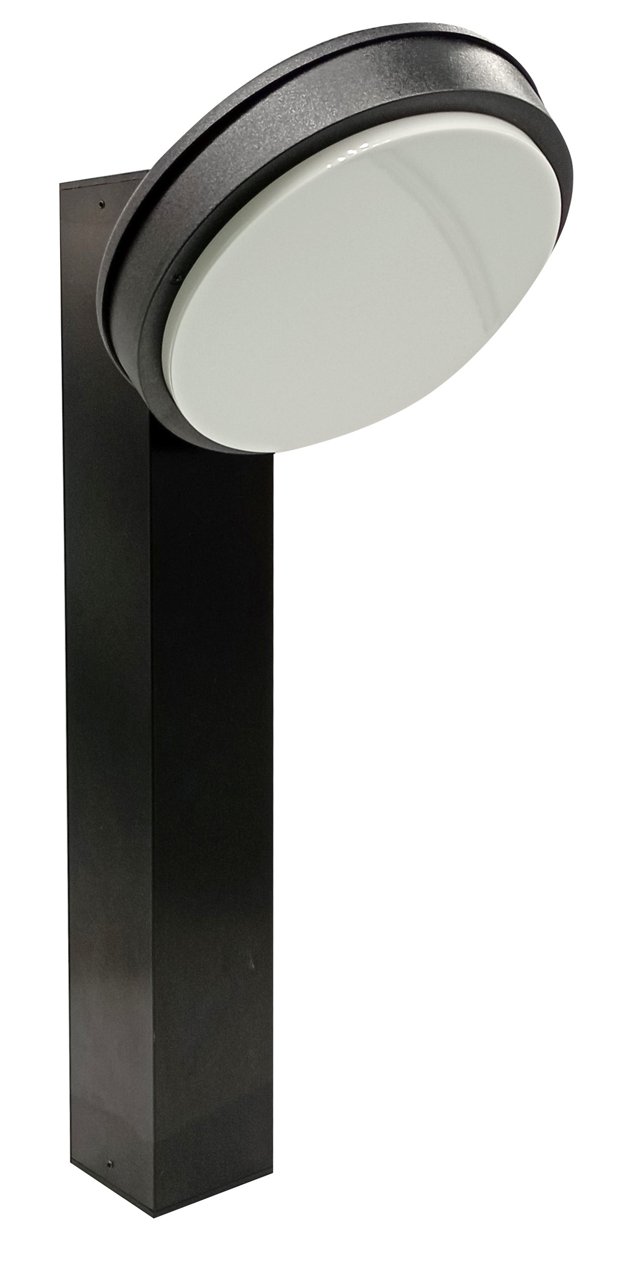 FLAT-T20- EVO-N SU PALO