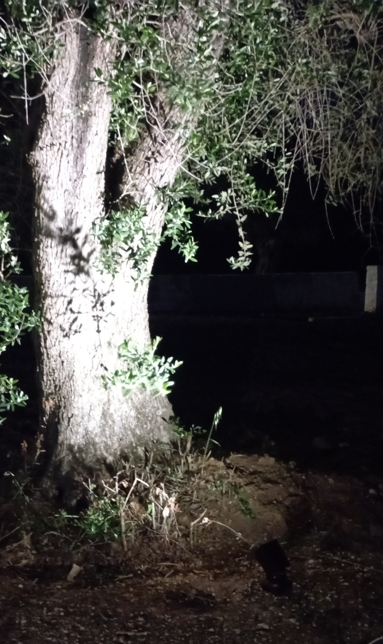 CUBE SPOT ambientata 2